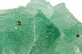 Stepped Green Fluorite Crystal Cluster with Pyrite - China #163552-1